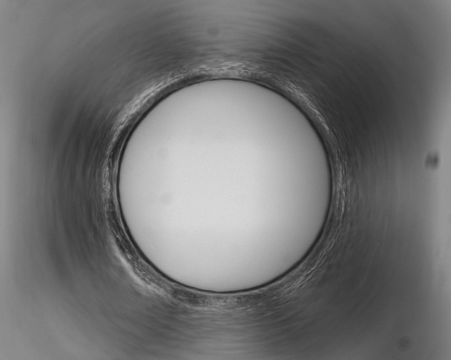 X0000116850674200912220942