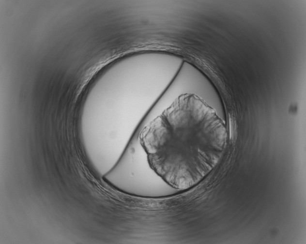 X0000116850675200912220942