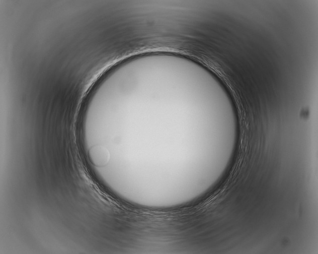 X0000116850676200912220942