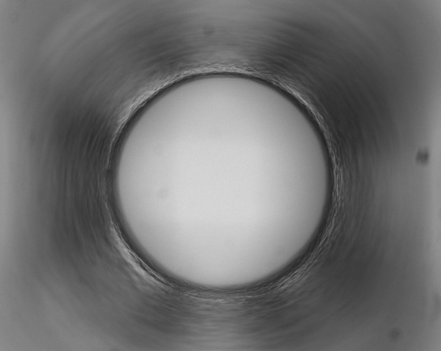 X0000116850677200912220942
