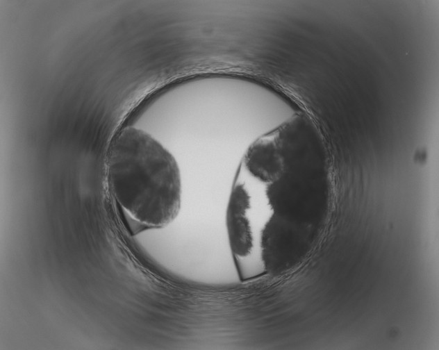 X0000116850679200912220942