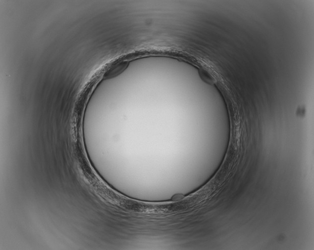 X0000116850680200912220942
