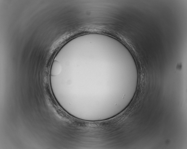 X0000116850682200912220942