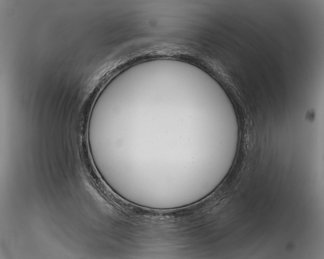 X0000116850683200912220942