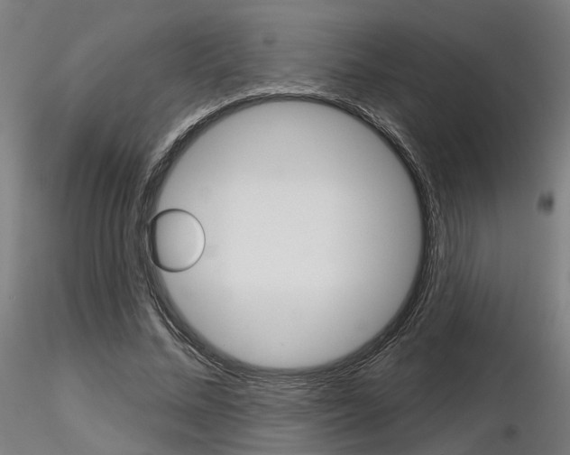 X0000116850684200912220942