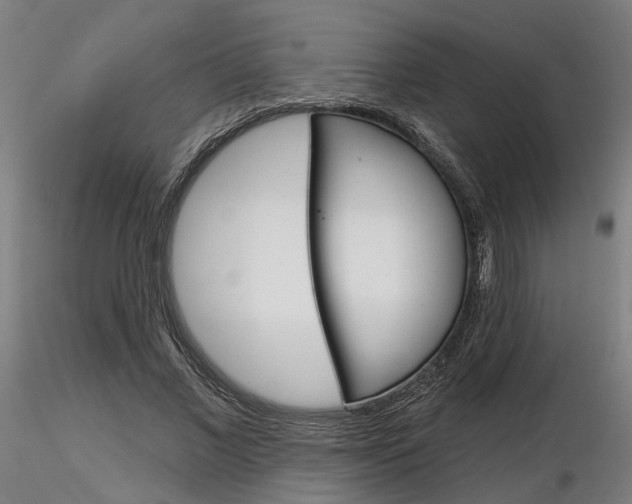 X0000116850685200912220942