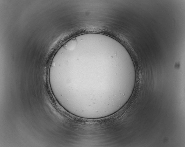 X0000116850686200912220942