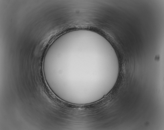 X0000116850687200912220942