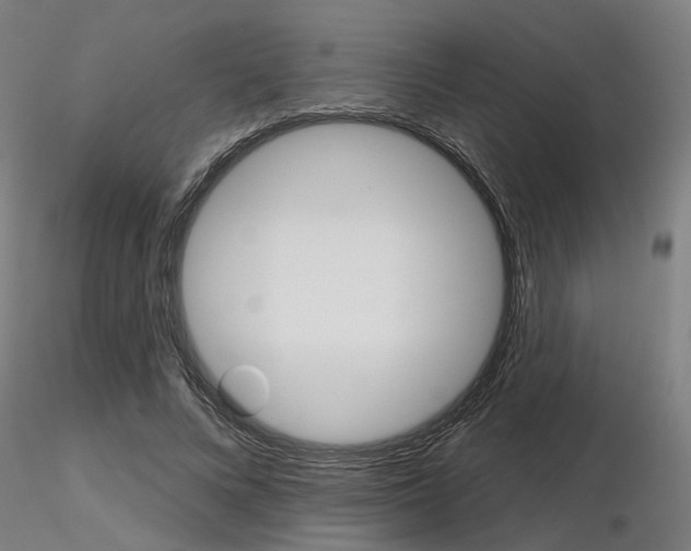 X0000116850688200912220942