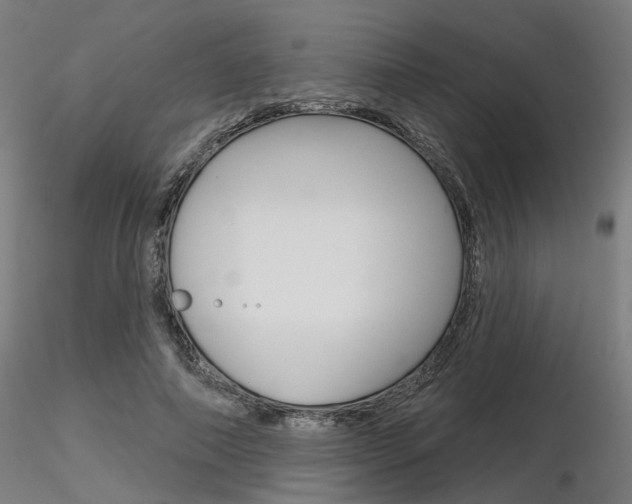 X0000116850690200912220942