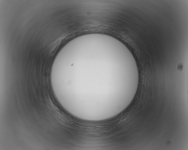 X0000116850693200912220942