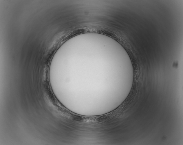 X0000116850694200912220942