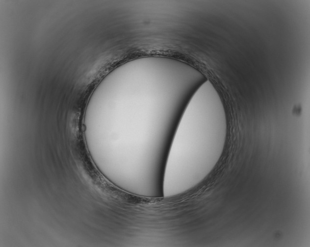 X0000116850695200912220942