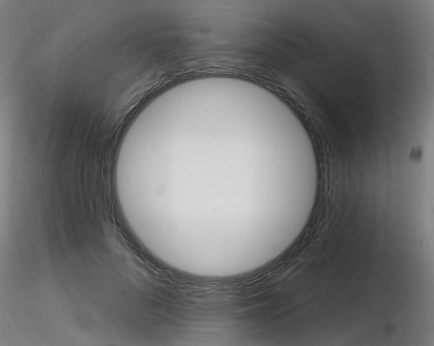 X0000116850696200912220942