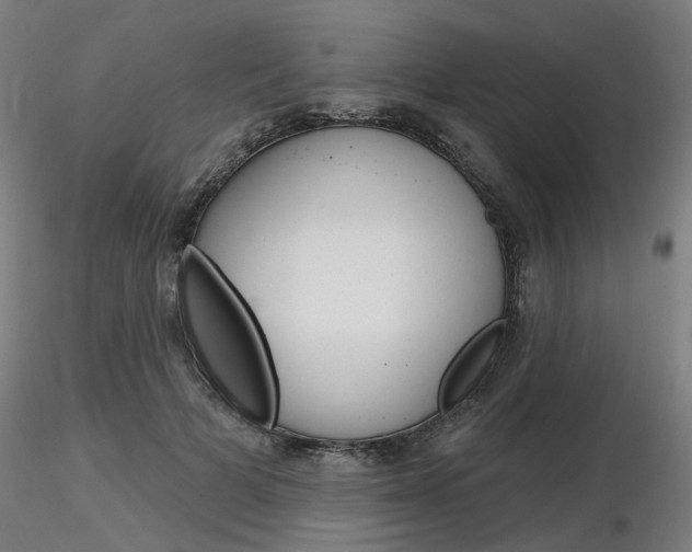 X0000116850697200912220942