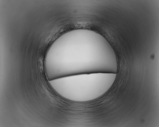 X0000116850699200912220942