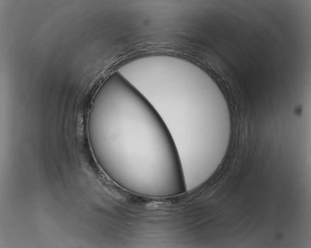 X0000116850700200912220942