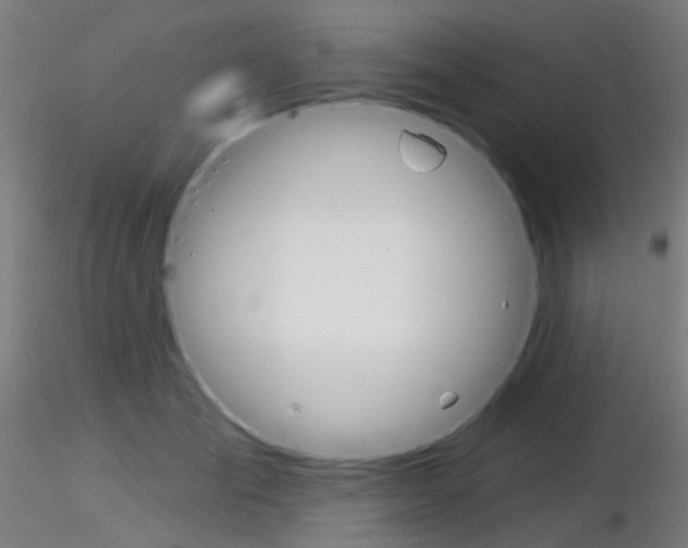 X0000116850701200912220942