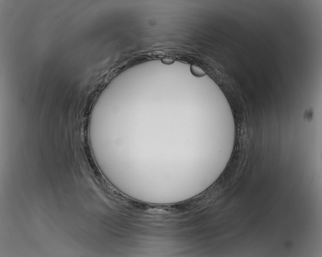 X0000116850703200912220942