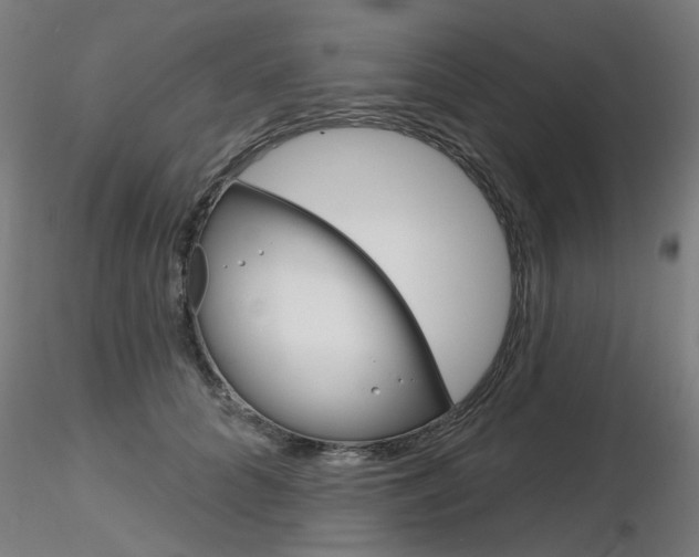 X0000116850704200912220942