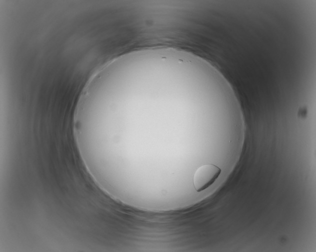 X0000116850705200912220942