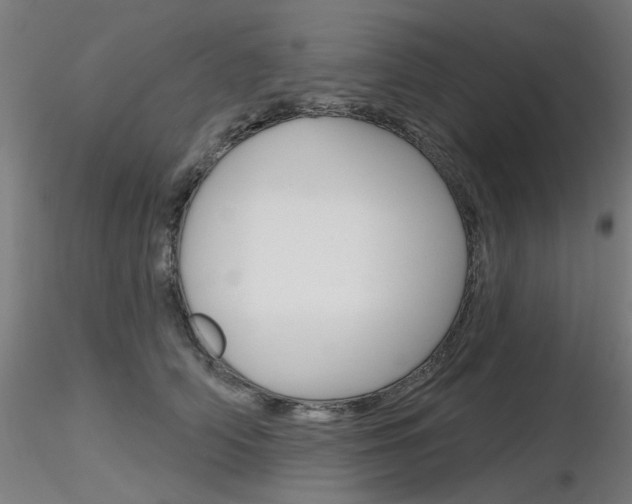 X0000116850706200912220942