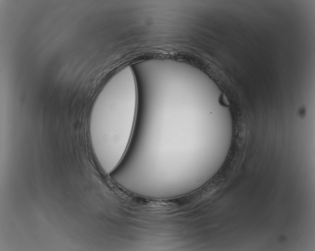 X0000116850707200912220942