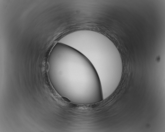 X0000116850708200912220942