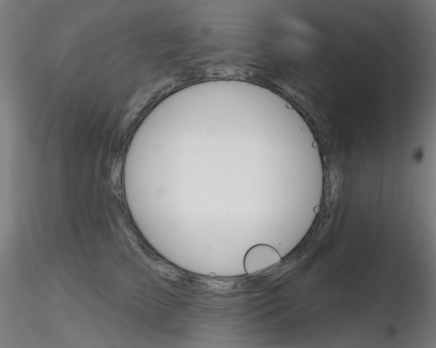 X0000116850709200912220942