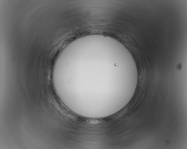 X0000116850710200912220942