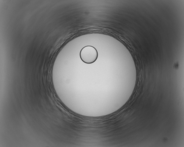 X0000116850713200912220942