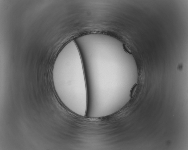 X0000116850719200912220942