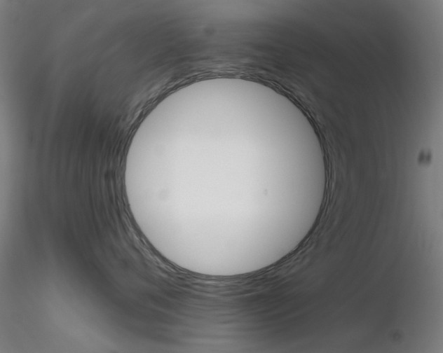 X0000116850720200912220942