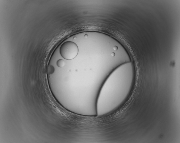 X0000116850721200912220941
