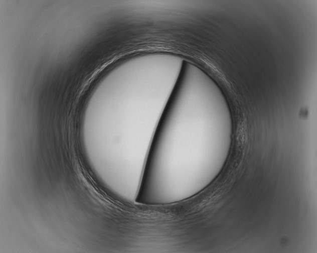 X0000116850722200912220941