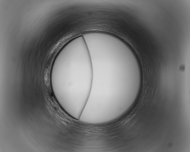 X0000116850723200912220941