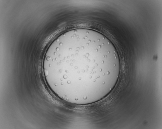 X0000116850725200912220941