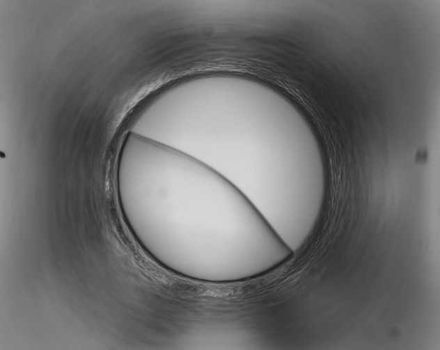 X0000116850727200912220941