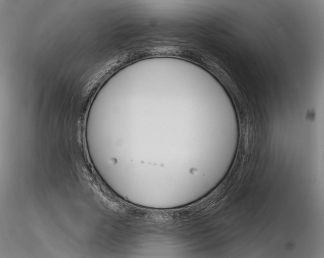 X0000116850729200912220941