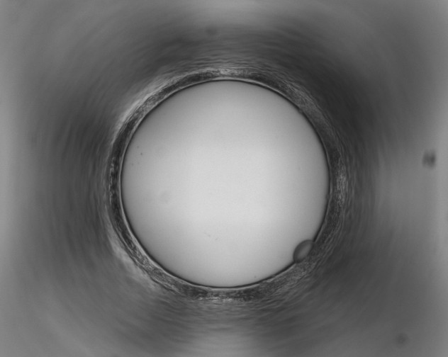 X0000116850730200912220941