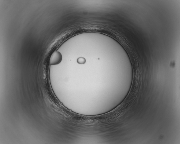 X0000116850731200912220941