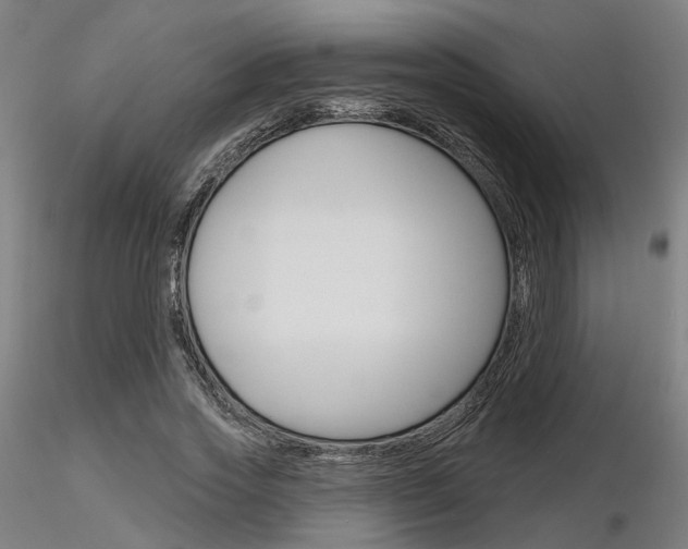 X0000116850733200912220941
