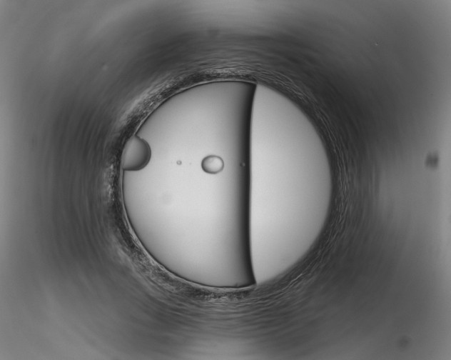 X0000116850735200912220941