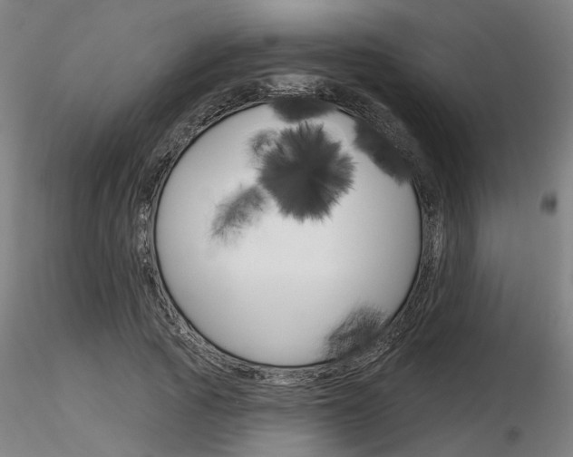 X0000116850737200912220941