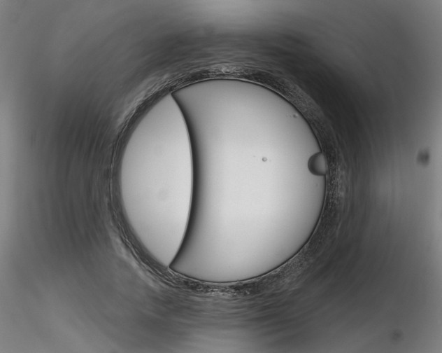 X0000116850738200912220941
