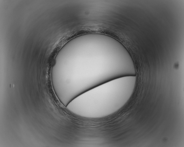 X0000116850739200912220941