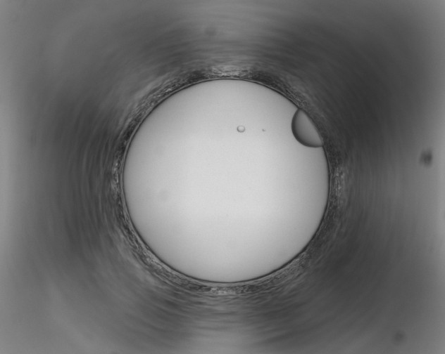 X0000116850741200912220941