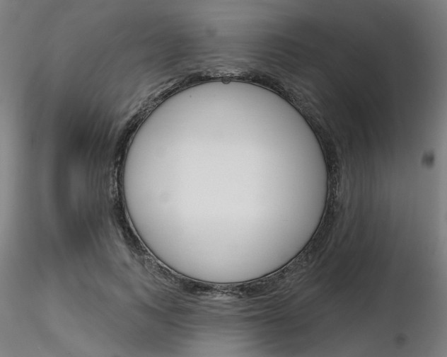 X0000116850743200912220941