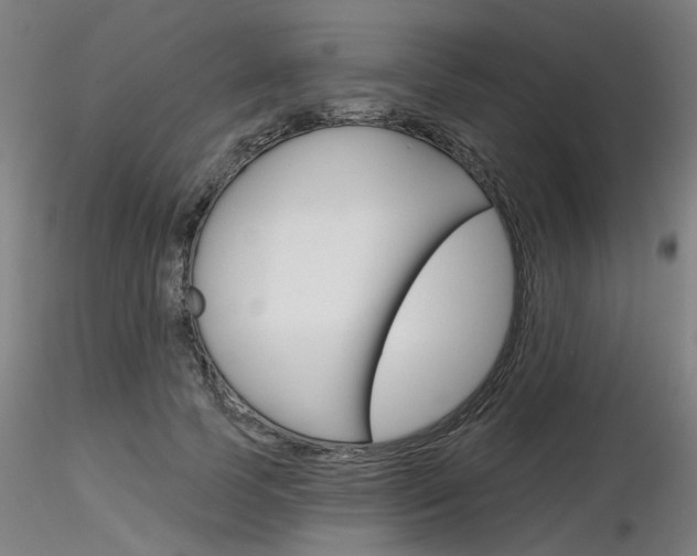 X0000116850745200912220941