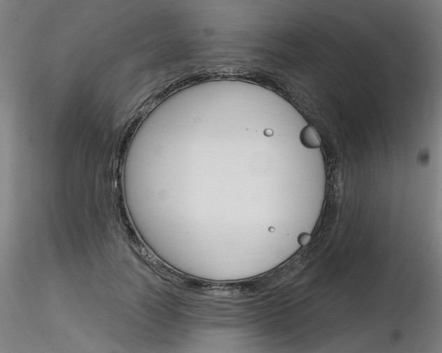 X0000116850746200912220941